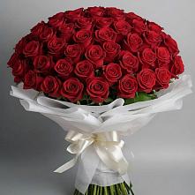 Букет 101 Красная роза Блэк Мэджик в Южный