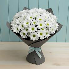 Букет цветов из:  Хризантемы #REPLACE_PRED# Южный
