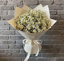 Букет цветов из:  Ромашки #REPLACE_PRED# Южный