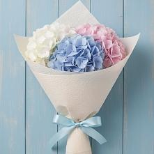 Букет цветов из:  Гортензия в Южный
