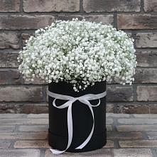 Цветочная композиция из Гипсофила в шляпной коробке в Южный