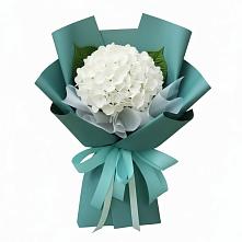 Букет цветов из:  Гортензия в Южный